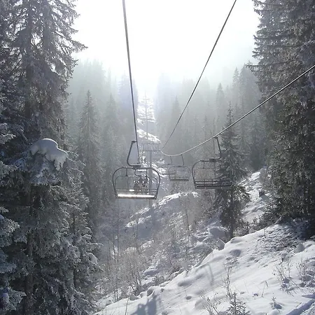 Chalet Multiconseils La Giettaz